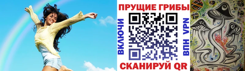 Галлюциногенные грибы Psilocybe  Александровск-Сахалинский 